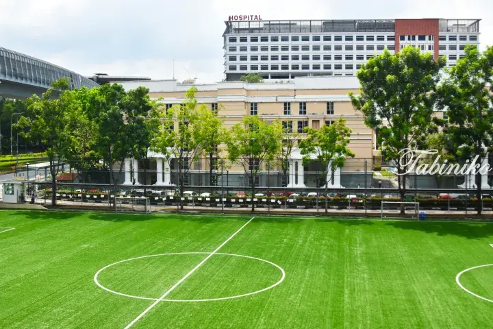 Green football pitch with white markings in front of a large hospital building and elevated train track.