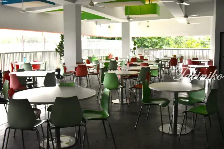 Spacious cafeteria with round tables and colorful green and red chairs near large windows overlooking greenery.