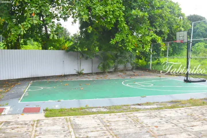 Outdoor basketball court with green surface and white lines surrounded by trees and a white fence.