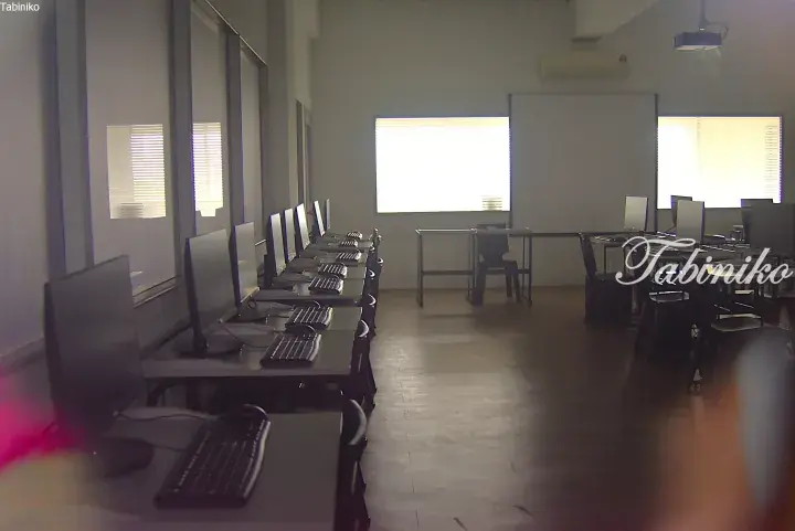 A modern computer lab with rows of desktop PCs, chairs, and large windows with blinds in a bright room.
