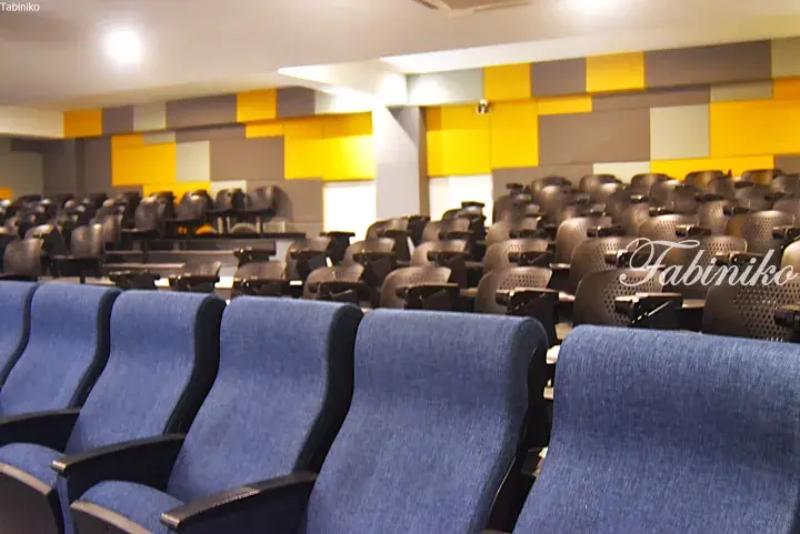Rows of blue and grey lecture hall seats with yellow and grey acoustic wall panels in a modern auditorium.