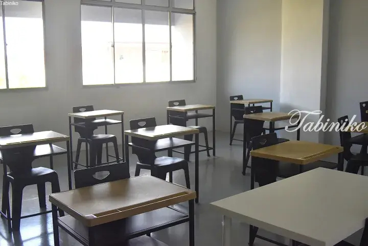 Empty classroom with wooden desks and black chairs arranged near large windows in a bright room.