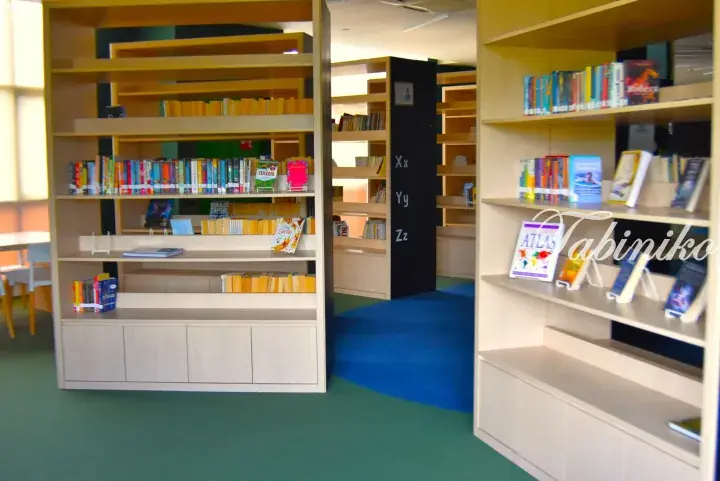 Modern library interior with light wood bookshelves, colorful books, and blue carpeted walkway.