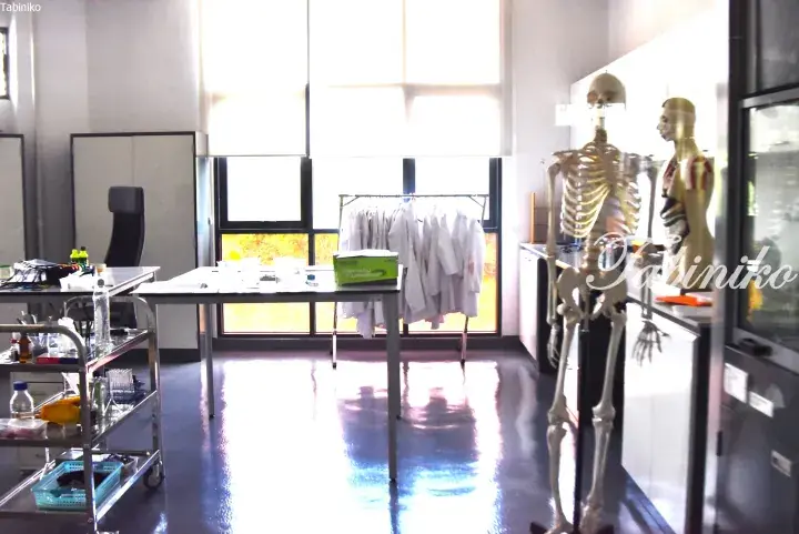 Medical laboratory with skeleton model, lab coats, and equipment near bright window.