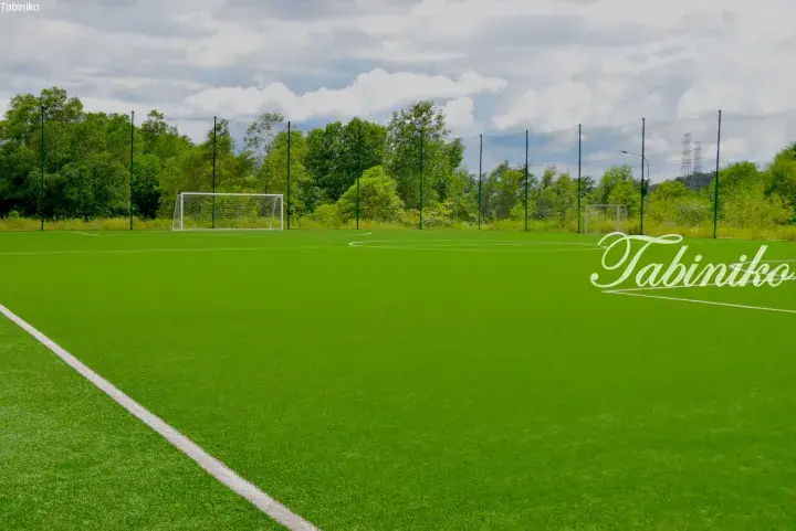Empty green artificial turf football field with white goalposts and surrounding trees under a cloudy sky.