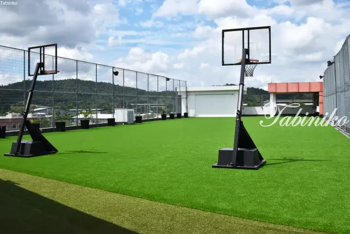 Rooftop basketball court with artificial grass and city views in Malaysia.