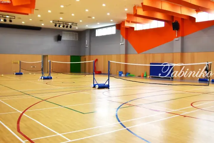 Spacious indoor sports hall with wooden flooring, colorful court markings, and multiple badminton nets set up for play.