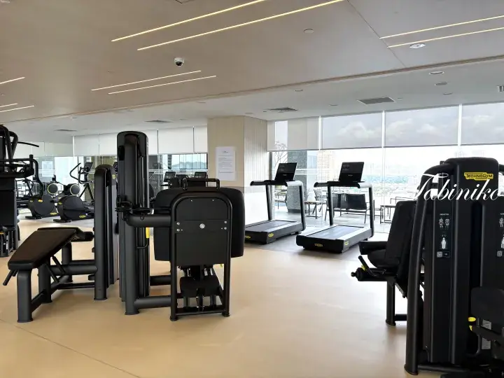 Modern gym with Technogym equipment and large windows overlooking the city skyline.