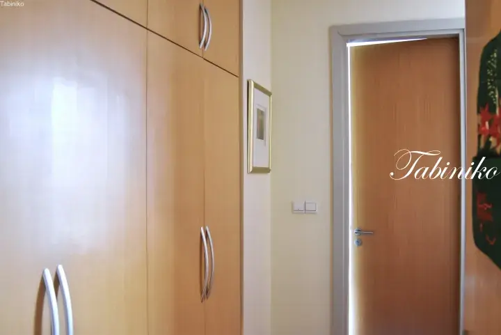 Interior view of a modern property featuring light wood wardrobes with silver handles and a matching door.