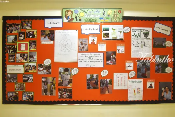 Science classroom bulletin board displaying student projects, photos, and experiment steps like hypothesis and results.
