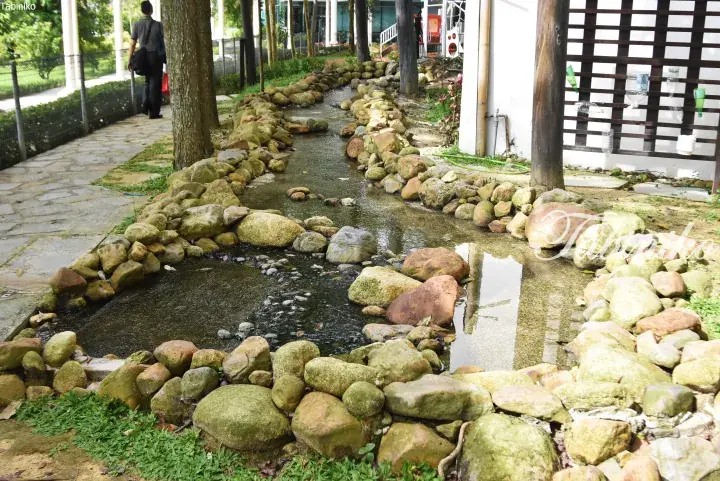 A winding stream lined with rocks flows through a landscaped garden area near a building.