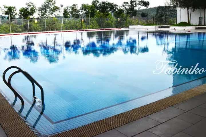 Outdoor swimming pool with clear blue water, metal ladder, and surrounding greenery at a property.