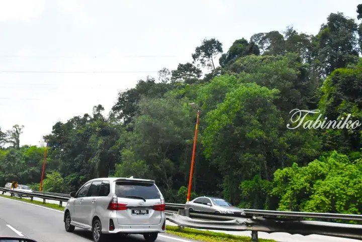A silver Toyota MPV drives along a highway bordered by lush green forest and tall orange solar street lights.