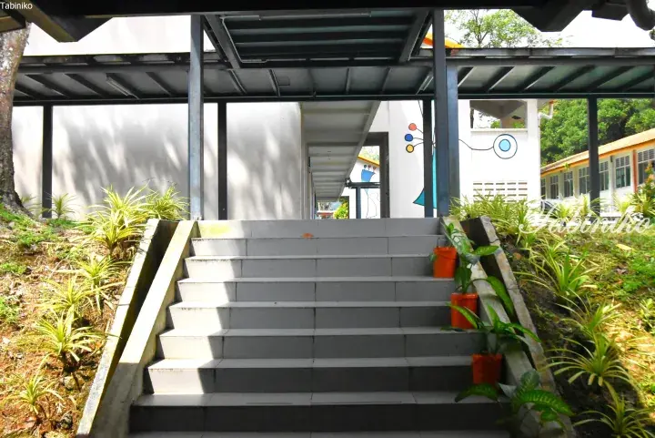 Concrete stairs leading to a modern building entrance with a metal roof and colorful wall murals in a tropical setting.