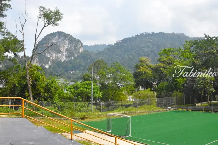 Green artificial turf football pitch with yellow railings, surrounded by lush trees and a limestone hill in the background.