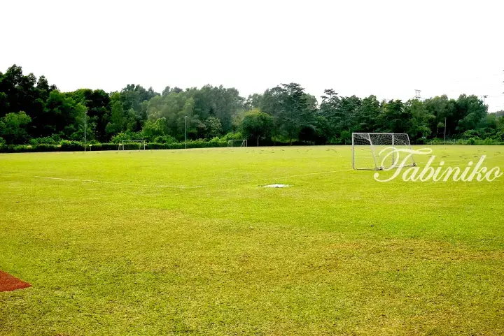 Green football pitch with goalposts and trees in the background at a sports facility.