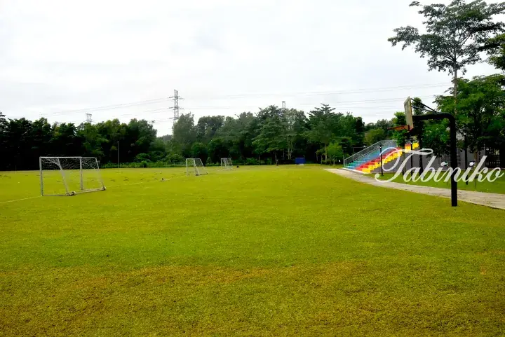 Green football pitch with goals and colorful bleachers at a sports field in Malaysia.