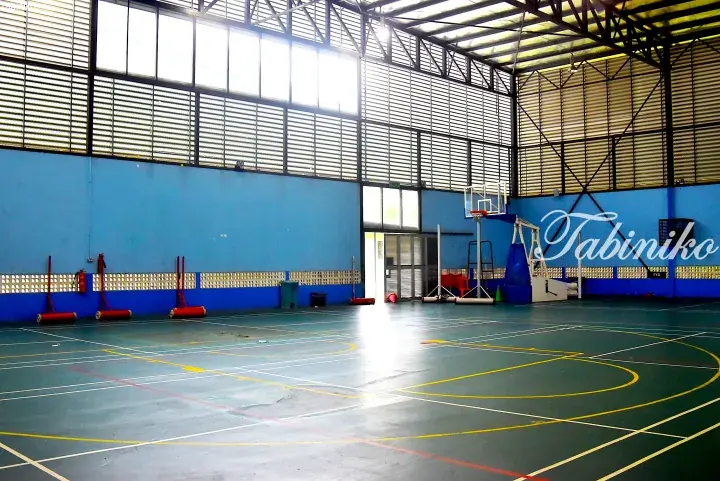 Spacious indoor sports hall with blue walls, basketball court markings, and a basketball hoop.