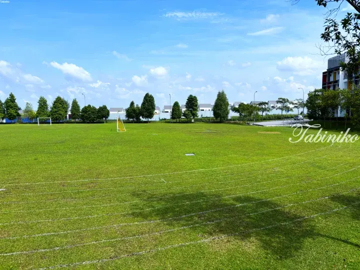 Green soccer field with white lines and goals under a blue sky, surrounded by trees and modern residential buildings.