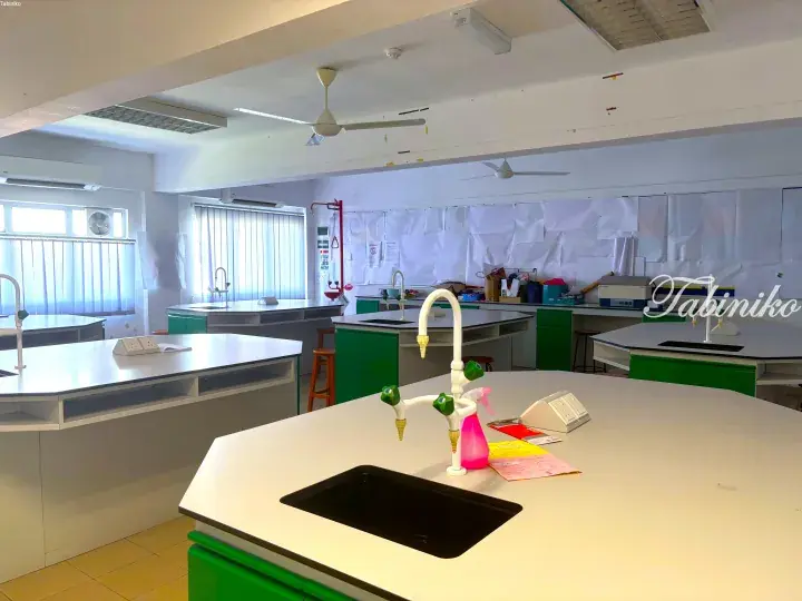 Modern science laboratory with white countertops, green cabinets, and multiple sinks in a bright room.