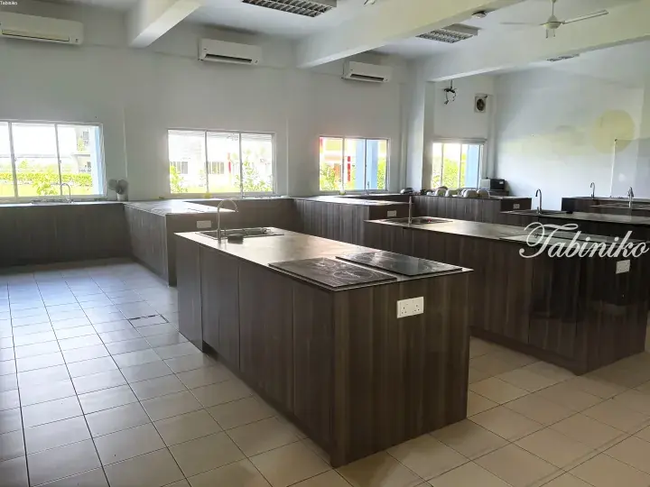Modern kitchen with dark wood cabinetry, induction cooktops, and multiple sinks in a bright, spacious room.