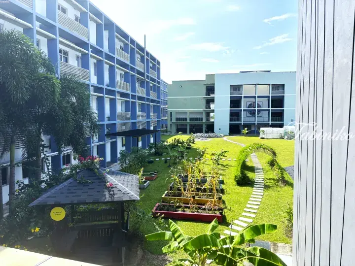 Modern blue and white school building with a lush green courtyard, garden beds, and a gazebo.