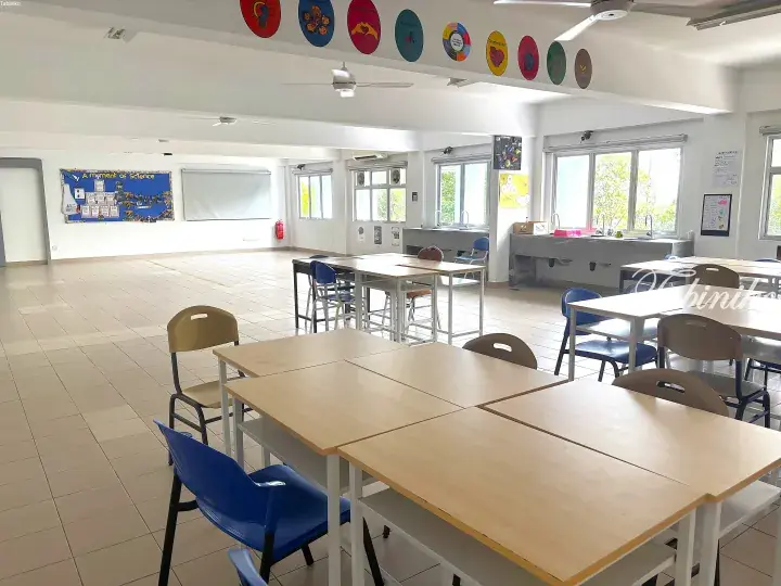 Bright science classroom with wooden desks, blue chairs, lab sinks, and educational posters on white walls.