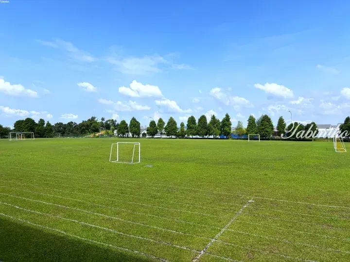 Spacious green soccer field with white goalposts under a bright blue sky, surrounded by trees and residential homes.