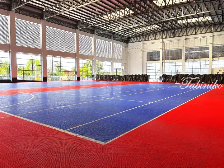 Spacious indoor sports hall with red and blue modular flooring, high ceilings, and large windows letting in natural light.