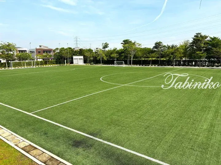 Green artificial turf football pitch with white markings and goals, surrounded by trees and residential buildings under a blue sky.