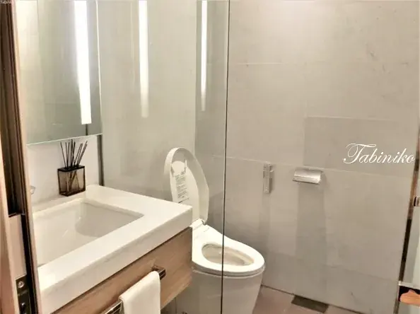 Modern hotel bathroom with a white sink, wooden vanity, and a glass-enclosed toilet area.