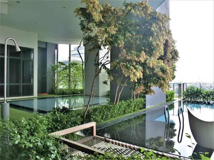 Modern rooftop infinity pool with lush tropical trees, outdoor shower, and lounge chair overlooking the city skyline.