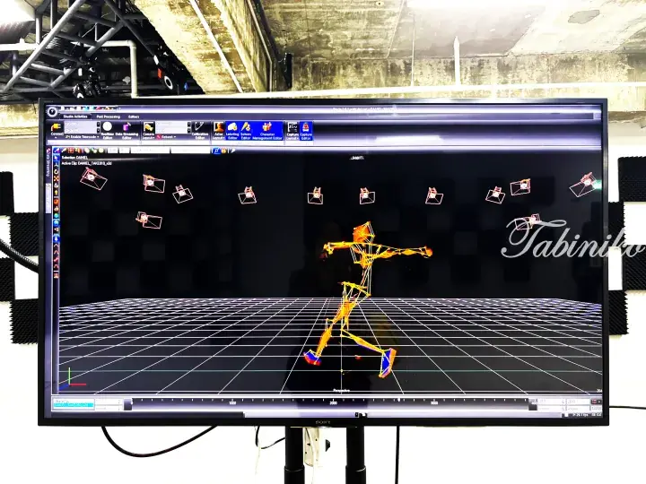 Motion capture software displaying a 3D skeletal model of a person walking on a grid.