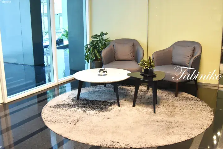 Modern lounge area with two grey armchairs and round tables on a circular rug near a large window.