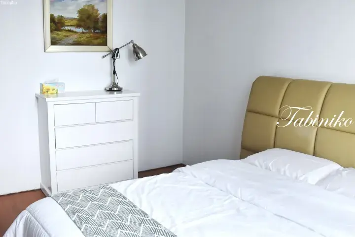 Bright bedroom with a beige leather bed, white chest of drawers, and a landscape painting.