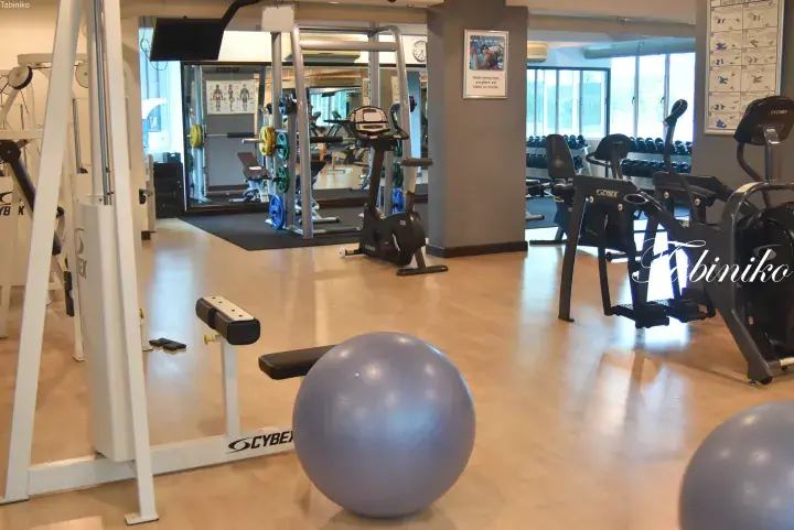 Well-lit gym interior featuring Cybex equipment, exercise balls, and weight machines with large windows.