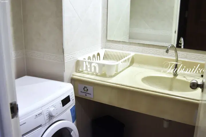 White Electrolux washing machine beside a cream-colored utility sink with a dish rack in a tiled laundry room.