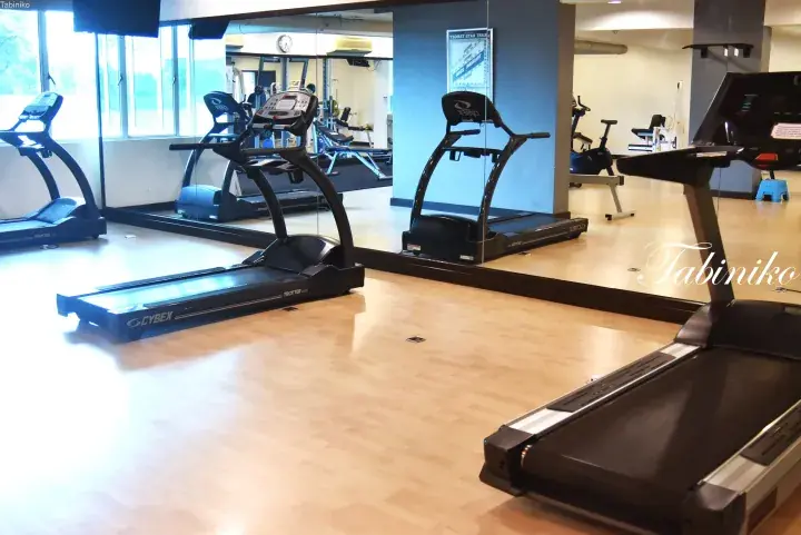 Modern gym interior featuring Cybex Trottter Elite treadmills lined up against a wall of mirrors with natural light.