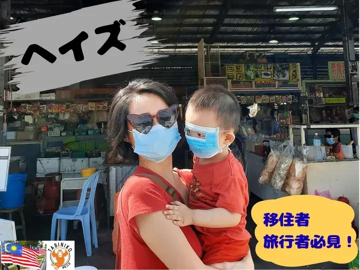 🌫️What Is the “Haze” That Covers the Malaysian Sky?