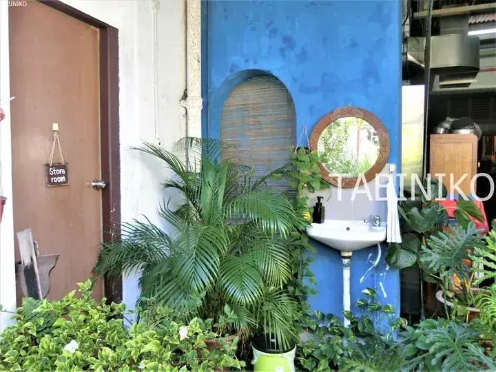 Outdoor sink area with blue wall, mirror, and lush green plants beside a store room door.