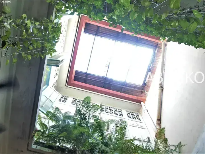 Lush green ferns and vines frame a courtyard with a red-framed skylight and white louvered windows.