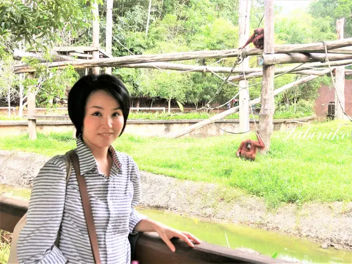 マレーシアの野生動物公園で、木造の遊具に登ったり芝生に座ったりするオランウータンがいるケージのそばで微笑む女性。