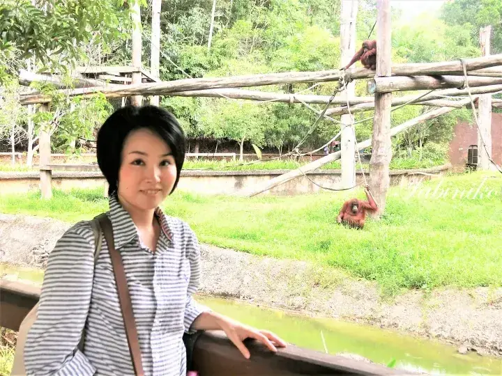 A woman smiles near an enclosure where orangutans climb wooden structures and sit on grass at a Malaysian wildlife park.