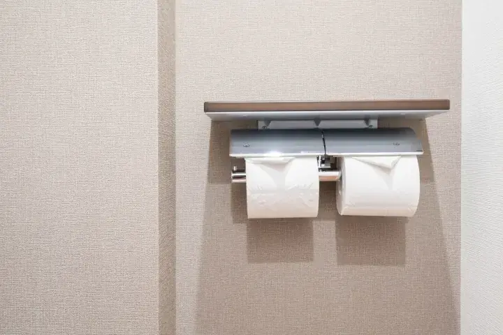 Modern wall-mounted toilet paper holder with two rolls installed in a hotel bathroom.