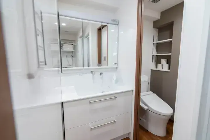白い洗面台と鏡付きキャビネット、独立したトイレスペースを備えたモダンなバスルーム。