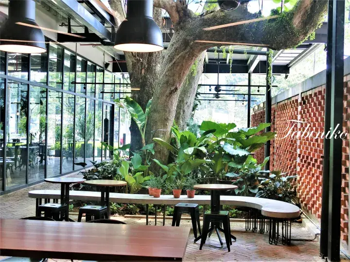 Modern cafe interior featuring a large tree growing through the center, surrounded by lush plants and brick walls.