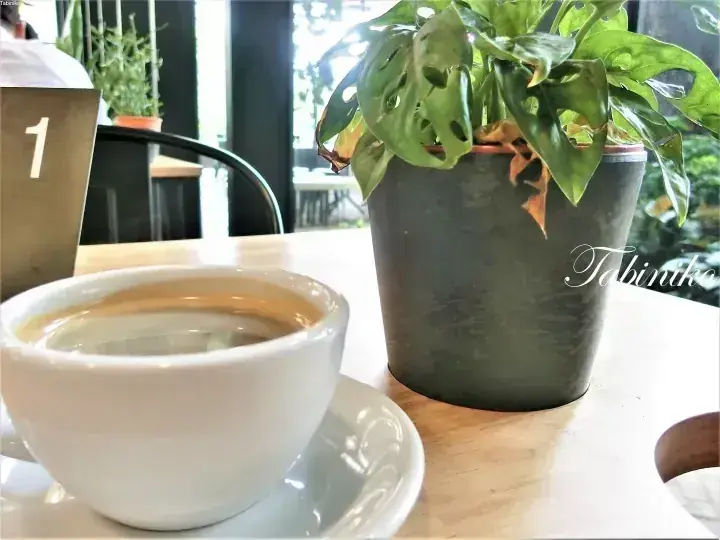 明るいカフェのテーブルに置かれたコーヒーカップとモンステラの鉢植え。