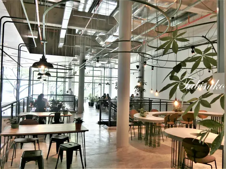 Modern industrial cafe interior with spiral metal decor, wooden tables, and hanging plants