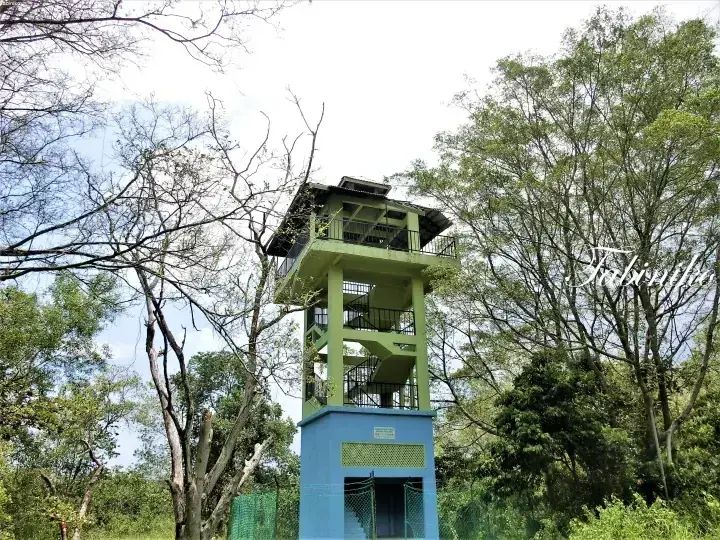 公園の緑豊かな木々に囲まれた、青い土台を持つ緑色の展望塔