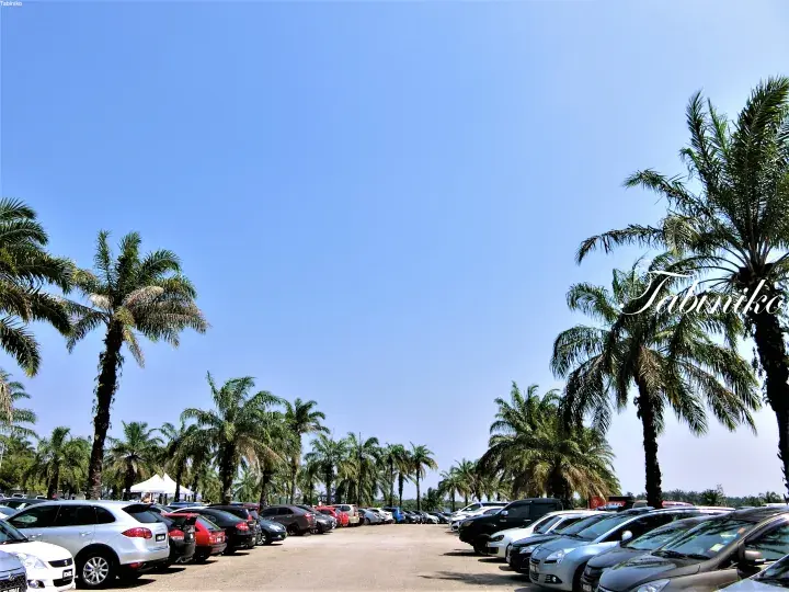 Rows of parked cars under palm trees at Tabuniko, a tropical outdoor venue in Malaysia.
